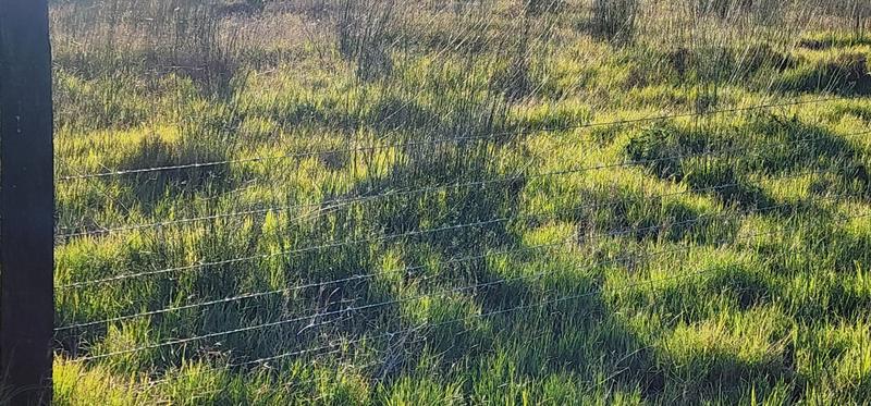 0 Bedroom Property for Sale in Albertinia Western Cape